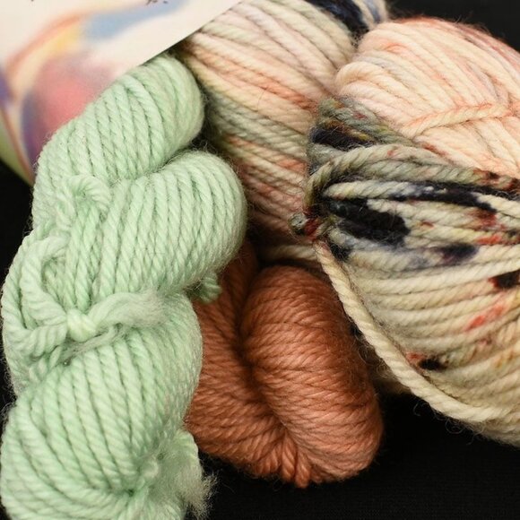 Hue Loco Patisserie Collection Merino DK Yarn Set SW Merino Lunch Table Colorway - Picture 2 of 3